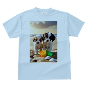 LoA,WbNbZeA TVc  j[NfUCfB[X t@  t vg lJWA 킢 lԗp Mtg I ҏ΍ r[` LoA,W