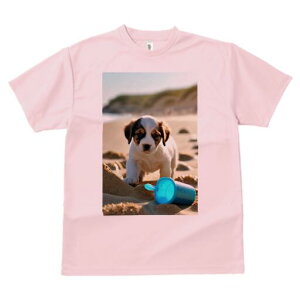 WbNbZeA TVc  j[NfUCfB[X t@  t vg lJWA 킢 lԗp Mtg I ҏ΍ r[` WbNbZeA 