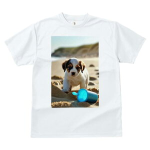 WbNbZeA TVc  j[NfUCfB[X t@  t vg lJWA 킢 lԗp Mtg I ҏ΍ r[` WbNbZeA 