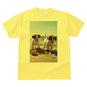 WbNbZeA TVc  j[NfUCfB[X t@  t vg lJWA 킢 lԗp Mtg I ҏ΍ r[` WbNbZeA 