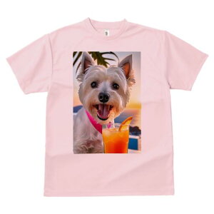 EGXgnChzCgeA TVc  j[NfUCfB[X t@  t vg lJWA 킢 lԗp Mtg I ҏ΍ ݕ EGXgnC