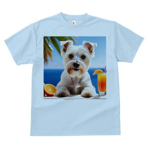 EGXgnChzCgeA TVc  j[NfUCfB[X t@  t vg lJWA 킢 lԗp Mtg I ҏ΍ IWW[X EG