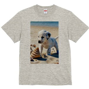 _VA TVc  j[NfUCfB[X t@  t vg lJWA 킢 lԗp Mtg I ҏ΍ r[` _VA  Lk C