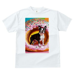 {XgeA TVc  j[NfUCfB[X t@  t vg lJWA 킢 lԗp Mtg I ҏ΍ h[ic {XgeA XvN