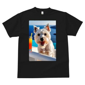 EGXgnChzCgeA TVc  j[NfUCfB[X t@  t vg lJWA 킢 lԗp Mtg I ҏ΍ ݕ EGXgnC