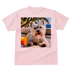 EGXgnChzCgeA TVc  j[NfUCfB[X t@  t vg lJWA 킢 lԗp Mtg I ҏ΍ W[X EGXgnC