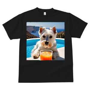 EGXgnChzCgeA TVc  j[NfUCfB[X t@  t vg lJWA 킢 lԗp Mtg I ҏ΍ v[ EGXgnC