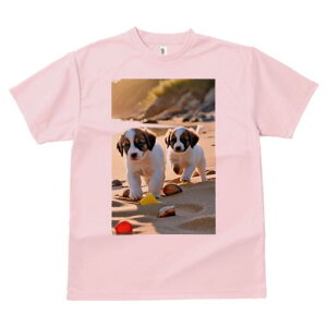 WbNbZeA TVc  j[NfUCfB[X t@  t vg lJWA 킢 lԗp Mtg I ҏ΍ r[` WbNbZeA 