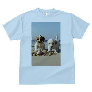 LoALO`[YXpjG,S[fgo[ TVc  j[NfUCfB[X t@  t vg lJWA 킢 lԗp Mtg I ҏ