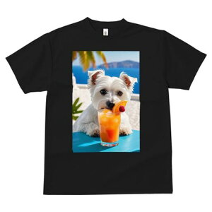 EGXgnChzCgeA TVc  j[NfUCY LbY t@  t vg lJWA 킢 lԗp Mtg I ҏ΍ JNe EGXg