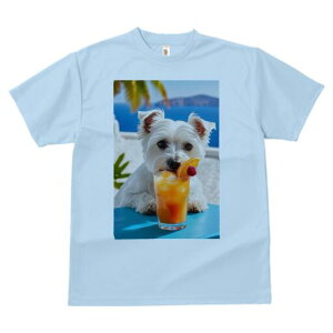 EGXgnChzCgeA TVc  j[NfUCfB[X t@  t vg lJWA 킢 lԗp Mtg I ҏ΍ JNe EGXgnC