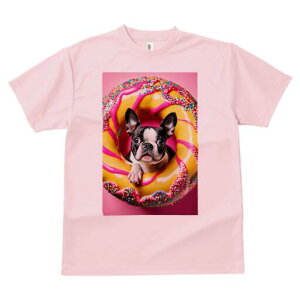 {XgeA TVc  j[NfUCfB[X t@  t vg lJWA 킢 lԗp Mtg I ҏ΍ h[ic {XgeA XC[c َq