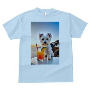 EGXgnChzCgeA TVc  j[NfUCY LbY t@  t vg lJWA 킢 lԗp Mtg I ҏ΍ JNe EGXg