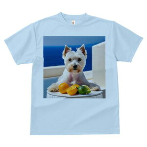 EGXgnChzCgeA TVc  j[NfUCY LbY t@  t vg lJWA 킢 lԗp Mtg I ҏ΍ k EGXgn