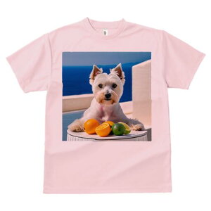 EGXgnChzCgeA TVc  j[NfUCfB[X t@  t vg lJWA 킢 lԗp Mtg I ҏ΍ k EGXgnC