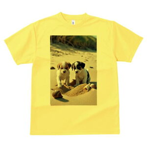 WbNbZeA TVc  j[NfUCfB[X t@  t vg lJWA 킢 lԗp Mtg I ҏ΍ l WbNbZeA L