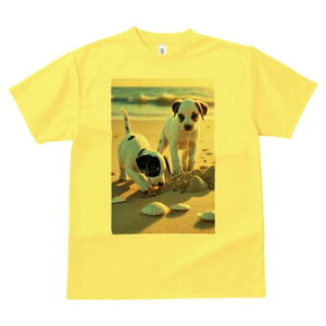 WbNbZeA TVc  j[NfUCfB[X t@  t vg lJWA 킢 lԗp Mtg I ҏ΍ r[` WbNbZeA 