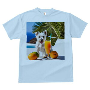 EGXgnChzCgeA TVc  j[NfUCY LbY t@  t vg lJWA 킢 lԗp Mtg I ҏ΍ JNe EGXg