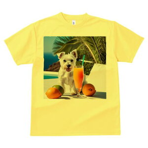 �E�G�X�g�n�C�����h�z���C�g�e���A T�V���c ���� ���j�[�N�f�U�C�����f�B�[�X ���t�@�� ���� �t�� �v�����g ��l�J�W���A�� ���킢�� �l�ԗp �M�t�g ���I �ҏ��΍� �J�N�e�� �E�G�X�g�n�C