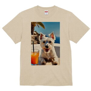 EGXgnChzCgeA TVc  j[NfUCfB[X t@  t vg lJWA 킢 lԗp Mtg I ҏ΍ ݕ EGXgnC