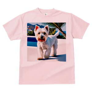 EGXgnChzCgeA TVc  j[NfUCfB[X t@  t vg lJWA 킢 lԗp Mtg I ҏ΍ V̖ EGXgnC