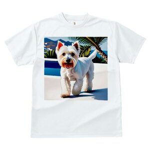 EGXgnChzCgeA TVc  j[NfUCY LbY t@  t vg lJWA 킢 lԗp Mtg I ҏ΍ V̖ EGXg