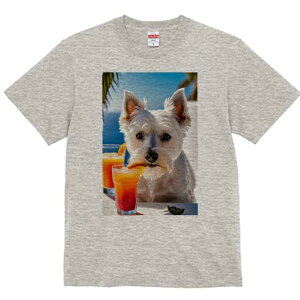 EGXgnChzCgeA TVc  j[NfUCfB[X t@  t vg lJWA 킢 lԗp Mtg I ҏ΍ JNe EGXgnC