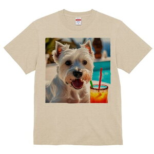 EGXgnChzCgeA TVc  j[NfUCY LbY t@  t vg lJWA 킢 lԗp Mtg I ҏ΍ JNe EGXg