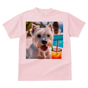 EGXgnChzCgeA TVc  j[NfUCfB[X t@  t vg lJWA 킢 lԗp Mtg I ҏ΍ JNe EGXgnC