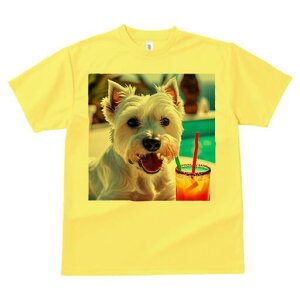 EGXgnChzCgeA TVc  j[NfUCfB[X t@  t vg lJWA 킢 lԗp Mtg I ҏ΍ JNe EGXgnC