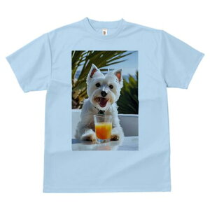 EGXgnChzCgeA TVc  j[NfUCfB[X t@  t vg lJWA 킢 lԗp Mtg I ҏ΍ W[X EGXgnC