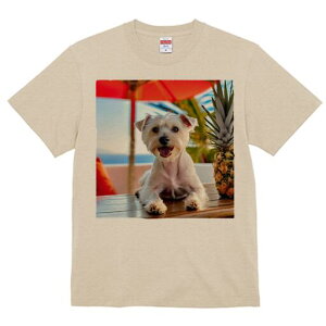 EGXgnChzCgeA TVc  j[NfUCfB[X t@  t vg lJWA 킢 lԗp Mtg I ҏ΍ pCibv EGXg