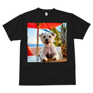 �E�G�X�g�n�C�����h�z���C�g�e���A T�V���c ���� ���j�[�N�f�U�C�����f�B�[�X ���t�@�� ���� �t�� �v�����g ��l�J�W���A�� ���킢�� �l�ԗp �M�t�g ���I �ҏ��΍� �p�C�i�b�v�� �E�G�X�g