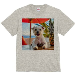 EGXgnChzCgeA TVc  j[NfUCfB[X t@  t vg lJWA 킢 lԗp Mtg I ҏ΍ pCibv EGXg