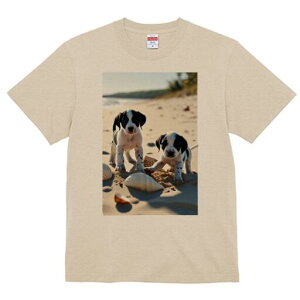 _VA TVc  j[NfUCfB[X t@  t vg lJWA 킢 lԗp Mtg I ҏ΍ r[` _VA C  Lk