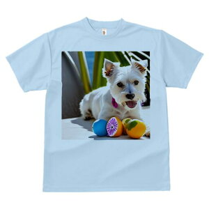 EGXgnChzCgeA TVc  j[NfUCfB[X t@  t vg lJWA 킢 lԗp Mtg I ҏ΍ {[ EGXgnC