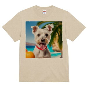 EGXgnChzCgeA TVc  j[NfUCfB[X t@  t vg lJWA 킢 lԗp Mtg I ҏ΍ r[` EGXgnC