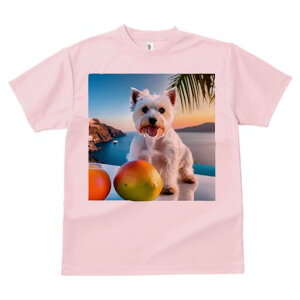 EGXgnChzCgeA TVc  j[NfUCfB[X t@  t vg lJWA 킢 lԗp Mtg I ҏ΍ C EGXgnCh