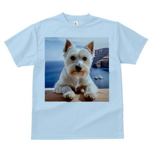 EGXgnChzCgeA TVc  j[NfUCfB[X t@  t vg lJWA 킢 lԗp Mtg I ҏ΍ C EGXgnCh