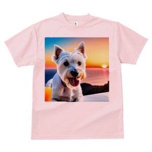 EGXgnChzCgeA TVc  j[NfUCfB[X t@  t vg lJWA 킢 lԗp Mtg I ҏ΍ [Ă EGXgnC