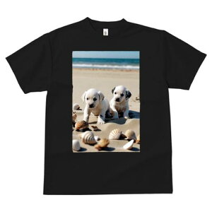 _VA TVc  j[NfUCfB[X t@  t vg lJWA 킢 lԗp Mtg I ҏ΍ r[` _VA C  Lk