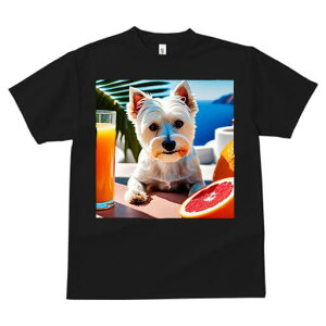 EGXgnChzCgeA TVc  j[NfUCfB[X t@  t vg lJWA 킢 lԗp Mtg I ҏ΍ W[X EGXgnC