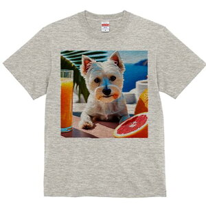 EGXgnChzCgeA TVc  j[NfUCfB[X t@  t vg lJWA 킢 lԗp Mtg I ҏ΍ W[X EGXgnC