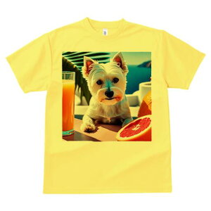 �E�G�X�g�n�C�����h�z���C�g�e���A T�V���c ���� ���j�[�N�f�U�C�����f�B�[�X ���t�@�� ���� �t�� �v�����g ��l�J�W���A�� ���킢�� �l�ԗp �M�t�g ���I �ҏ��΍� �W���[�X �E�G�X�g�n�C