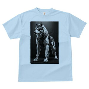 nXL[ TVc  j[NfUCfB[X t@  t vg lJWA 킢 lԗp Mtg I ҏ΍ Z nXL[ I