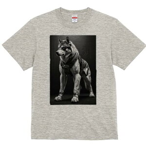 nXL[ TVc  j[NfUCfB[X t@  t vg lJWA 킢 lԗp Mtg I ҏ΍ Z nXL[ I