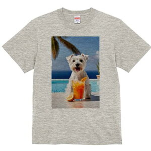 EGXgnChzCgeA TVc  j[NfUCfB[X t@  t vg lJWA 킢 lԗp Mtg I ҏ΍ v[ EGXgnC