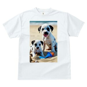 _VA TVc  j[NfUCfB[X t@  t vg lJWA 킢 lԗp Mtg I ҏ΍ r[` _VA  