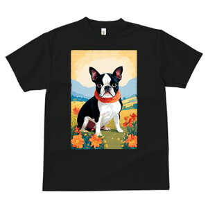 {XgeA TVc  j[NfUCfB[X t@  t vg lJWA 킢 lԗp Mtg I ҏ΍  {XgeA XJ[t i