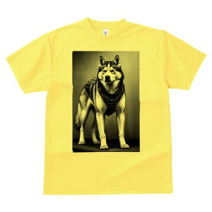 VxAnXL[ TVc  j[NfUCfB[X t@  t vg lJWA 킢 lԗp Mtg I ҏ΍ VxAnXL[